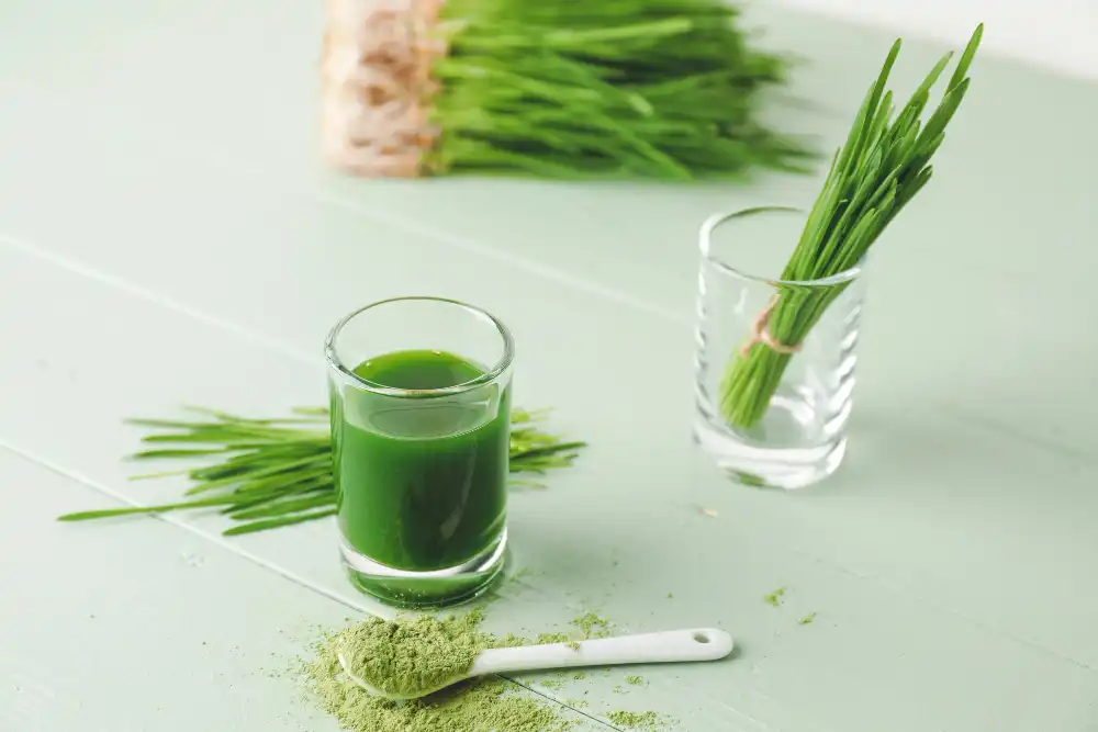 How can Raw Wheat Grass Juice Powder support blood sugar control?